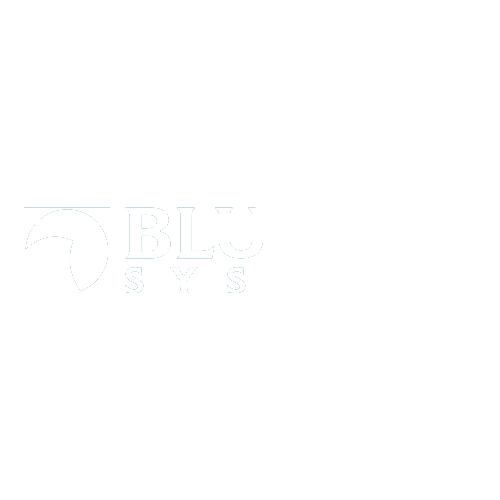 Blue Sea Systems