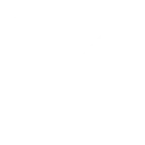 X (Twitter)